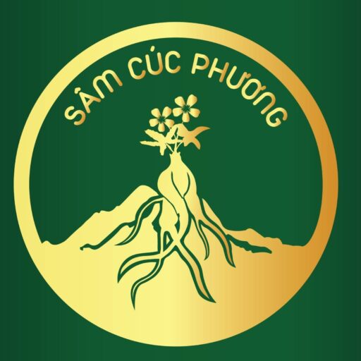 Sâm Cúc Phương