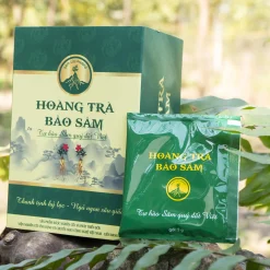 HOÀNG TRÀ BẢO SÂM