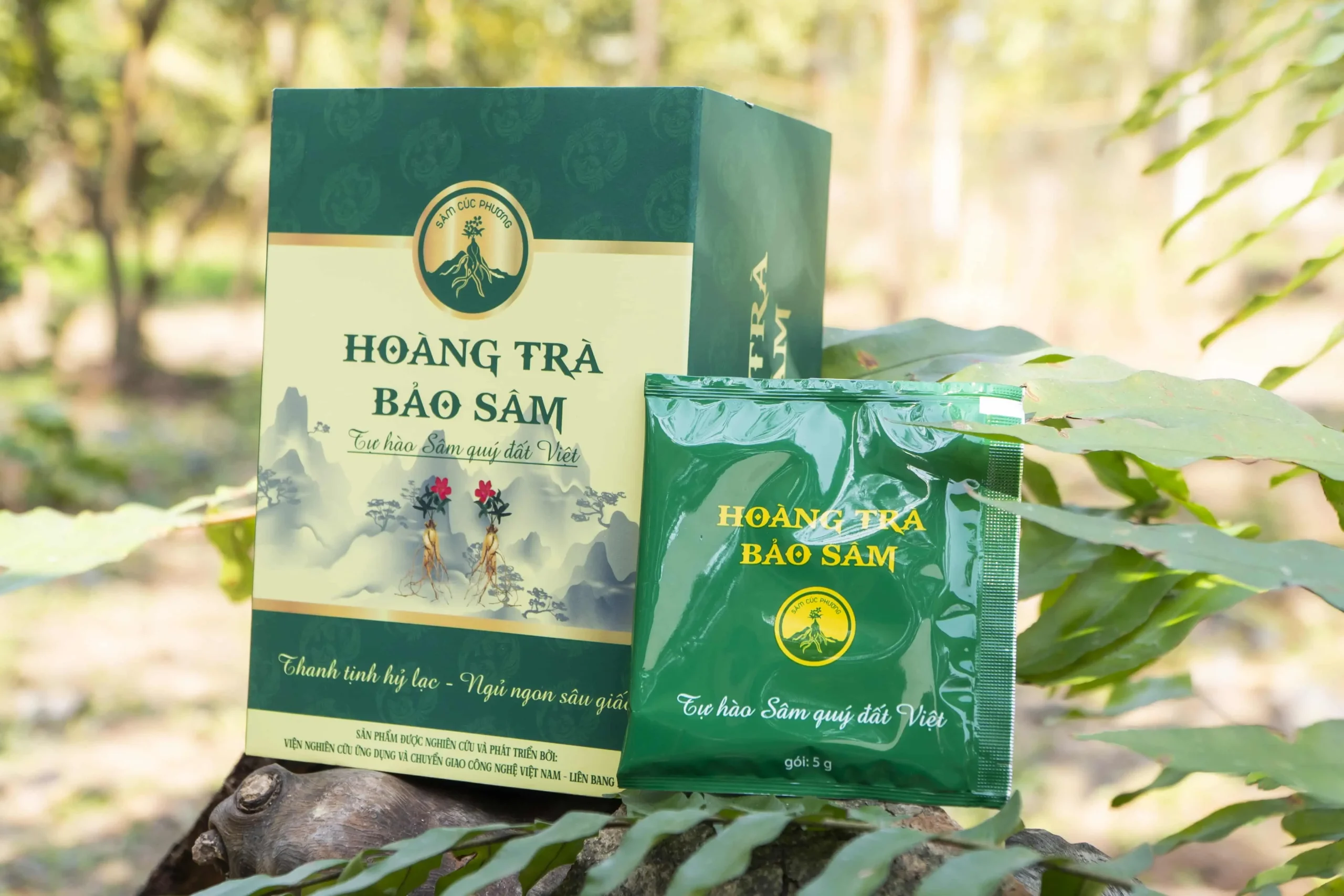 HOÀNG TRÀ BẢO SÂM