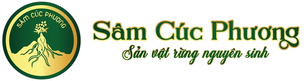 SÂM CÚC PHƯƠNG